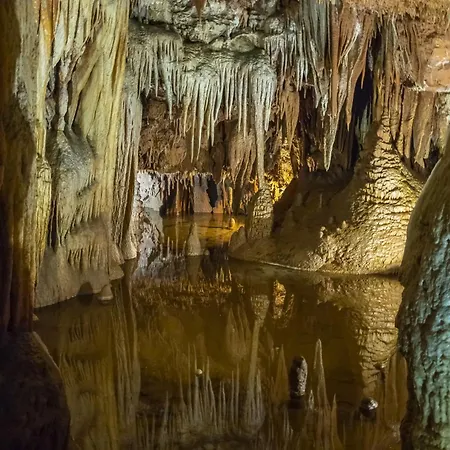 In - Istrien 50443 Nyaraló Poreč