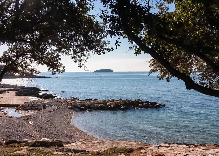 Casa vacanze In - Istrien 50443 *