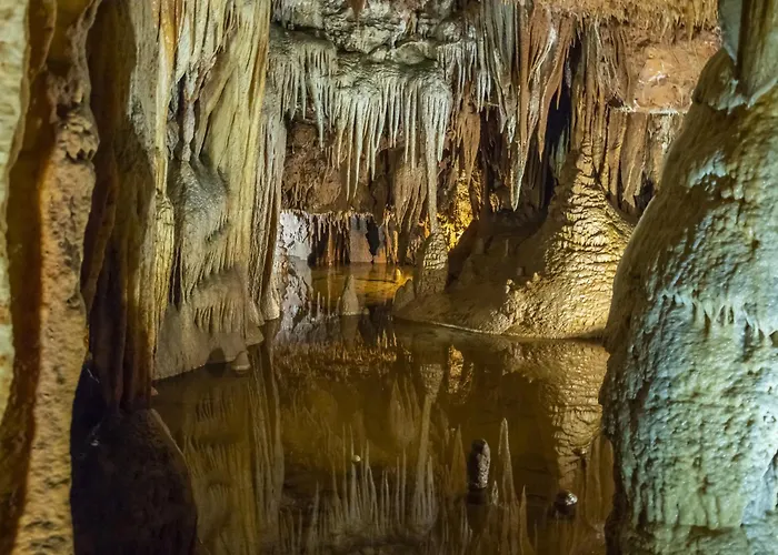 In - Istrien 50443 Дом отдыха Пореч